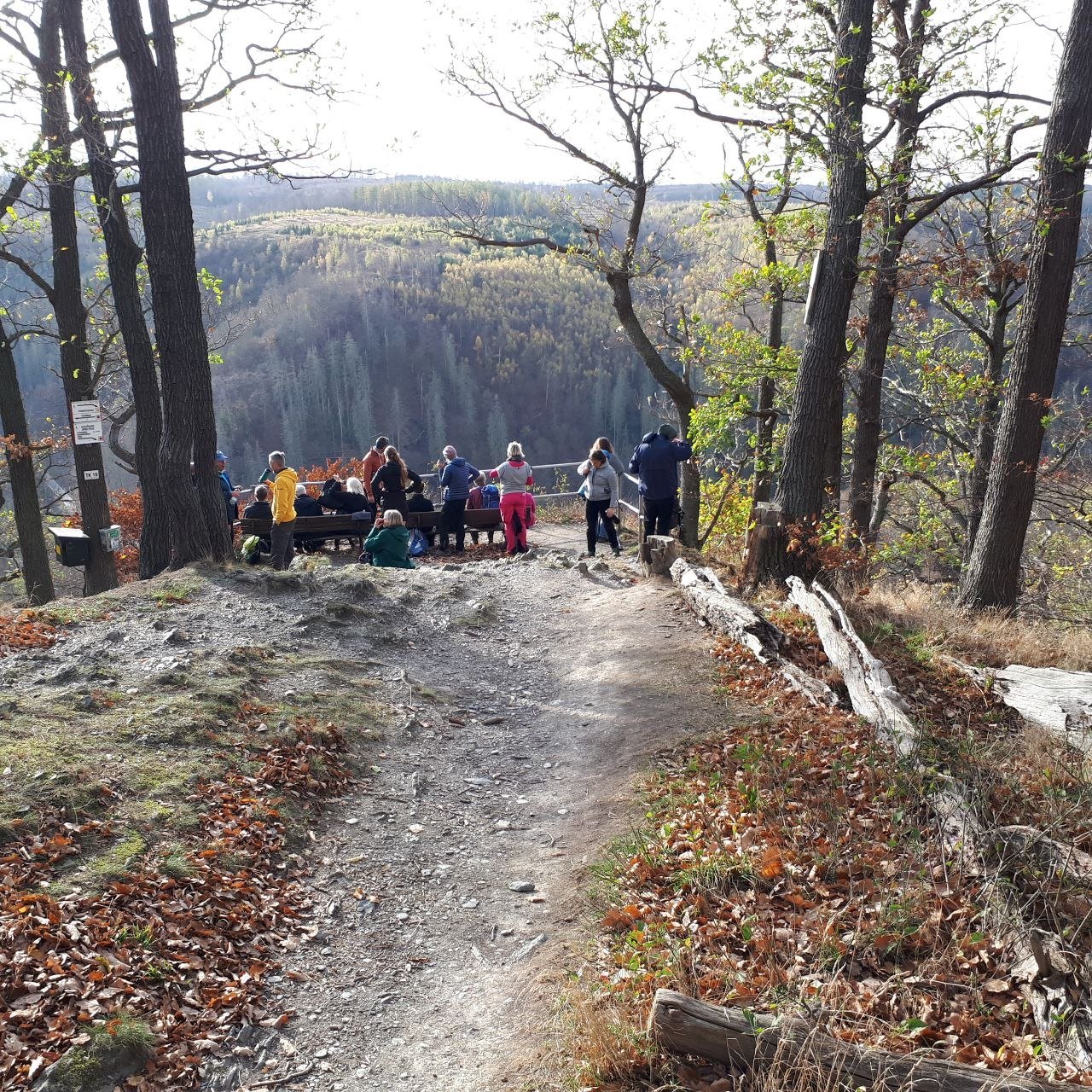 Gruppe an einem Aussichtspunkt in der Natur